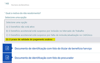 tela novo pedido inss